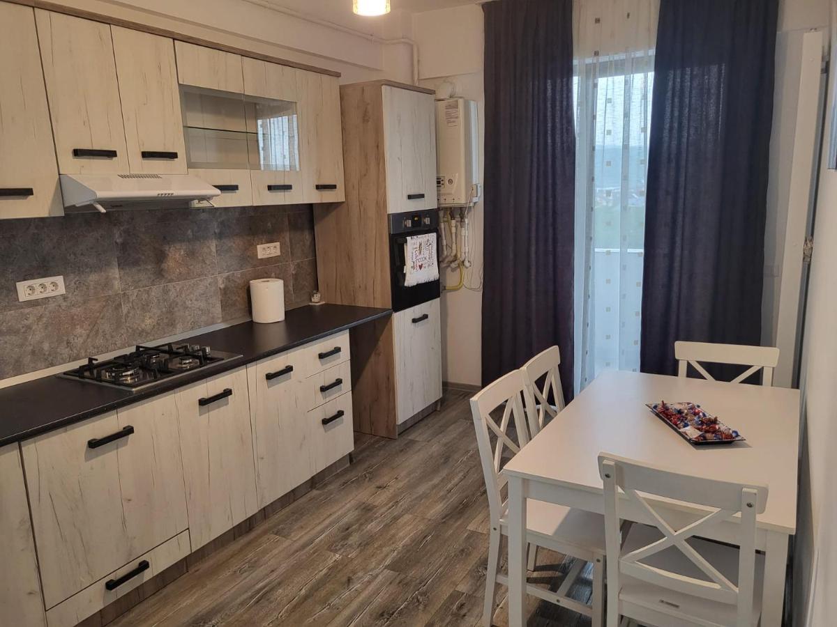 Apartament Dem Radulescu Apartman Râmnicu Vâlcea Kültér fotó